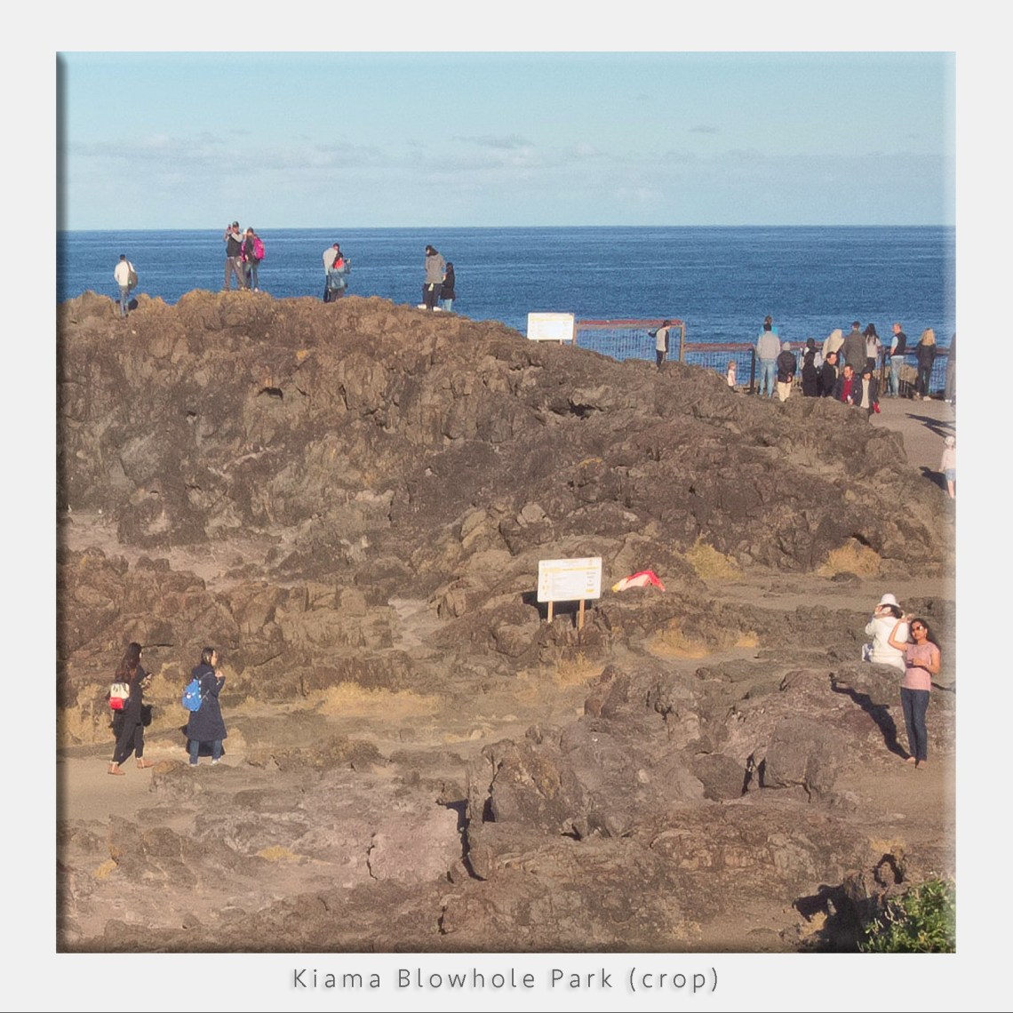 Kiama Blowhole Park 100% crop iPad pro DNG image quality test