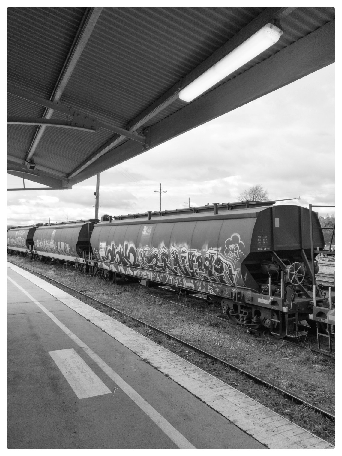 Shooting Monochrome DNG on iPad Pro 10.5