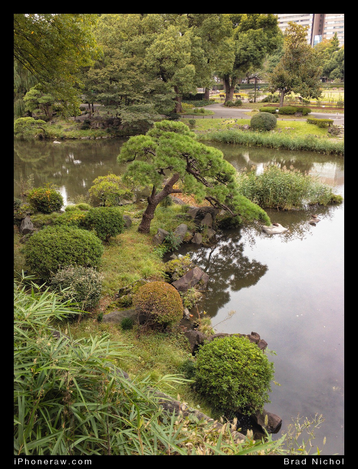 Hibiyakoen, a park near Ginza, Tokyo, gardens, ponds, zen style.