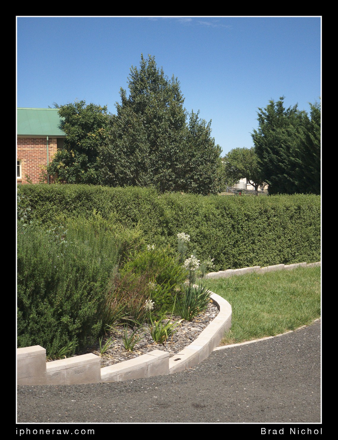 32 ISO iPhone X Telephoto Garden scen test