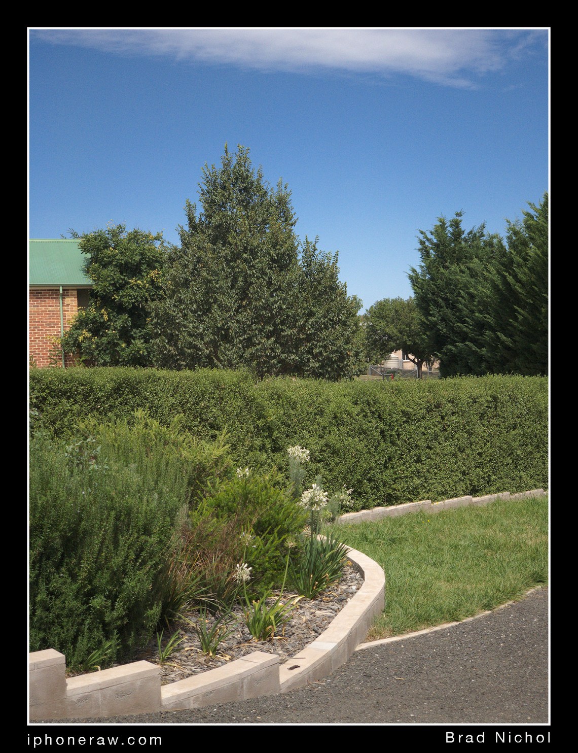 16 ISO no noise reduction, unedited