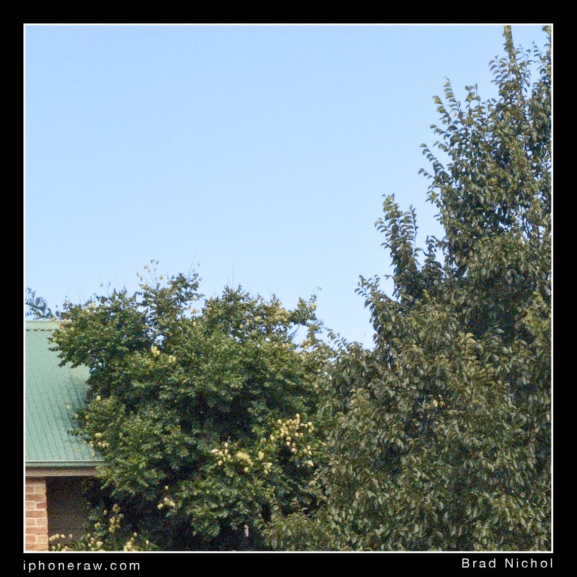 Extreme crop 24 mp version iPhone X telephoto module/lens, garden scene, blue sky and tree with roof and bricks.