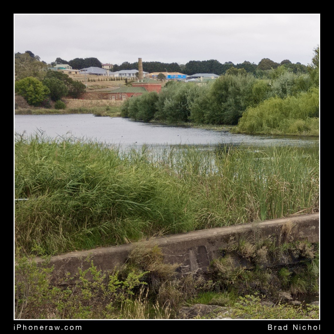 Edge crops to show resolution difference between iPhone X and M4/3, daylight at Marsden Weir Goulburn.